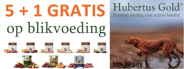 630x237-banner-hbg-blik-51