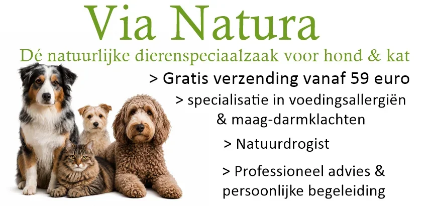850x410-hoofdbanner-juni26