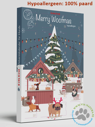ADVENTSKALENDER 2025 HYPO CHRISTMAS MARKET