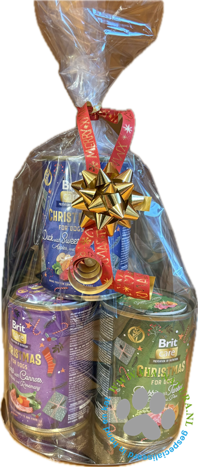 VIA NATURA - BRIT CHRISTMAS CANS SET 4 STUKS