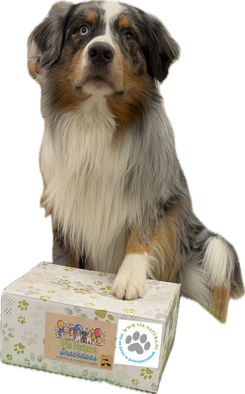 VIA NATURA SNACKDOOS VOOR PUPS & VOLWASSEN HONDEN