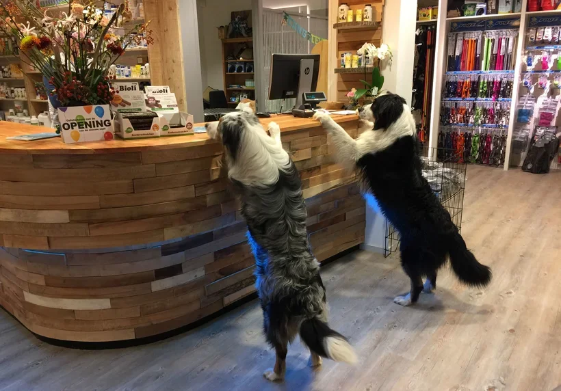 Diepvries vers vlees