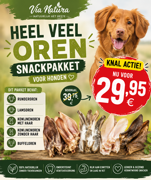 HEEL VEEL OREN KAUWPAKKET
