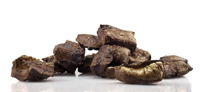 PETS BEST HERTENLONG 1 KILO