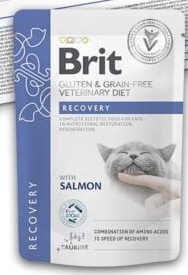 Brit VC Cat pouch RECOVERY  85gr