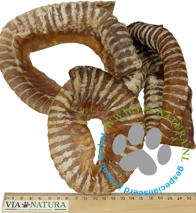 TANTE ROOS - RUNDERLUCHTPIJP GEBOGEN PER STUK