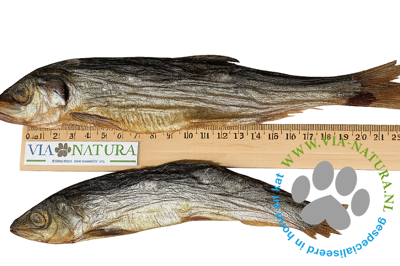 TANTE ROOS - NOORSE HARING PER STUK