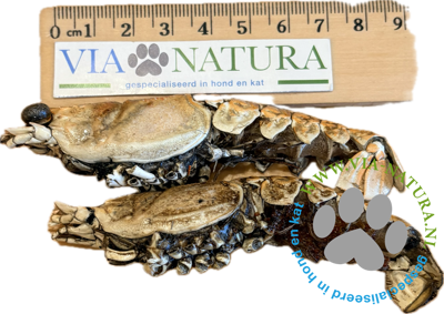 TANTE ROOS - KREEFTJES PER STUK